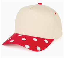 Load image into Gallery viewer, 5 Panel CC Big Polka Dot Canvas

